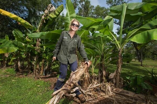 Sarah Hudson, a Field Officer in the Banana Freckle eradication program taking place across the Northern Territory. Photo: Glenn Campbell.