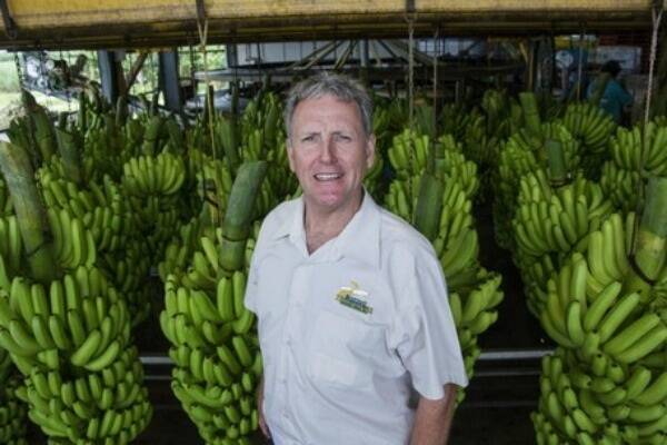ABGC CEO Jim Pekin said that, in a positive first step, the Queensland Government has provided $300,000 to employ and manage specialist biosecurity advisers who will train small groups and individual growers to help keep banana farms free of Panama Tropical Race 4.
