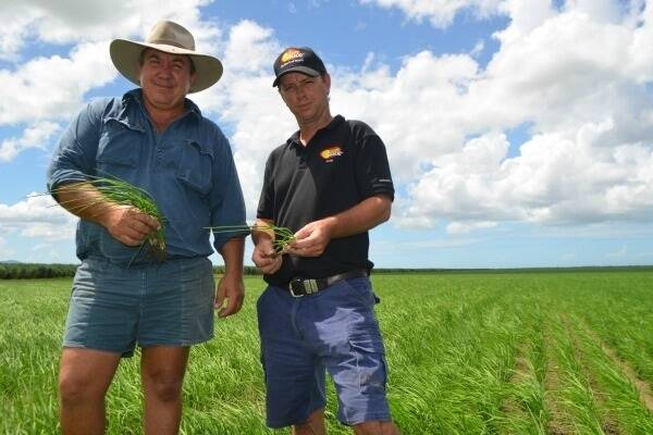 The field day included a tour of Allan Milan’s rice crop. Allan is pictured with SunRice’s Brandon Mill Manager Steven Rogers.