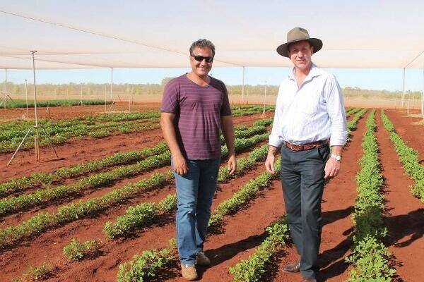 Dr Ali Sarkhosh and Primary Industry and Fisheries Minister Willem Westra van Holthe inspect the peanut trial currently underway at the Katherine Research Station.