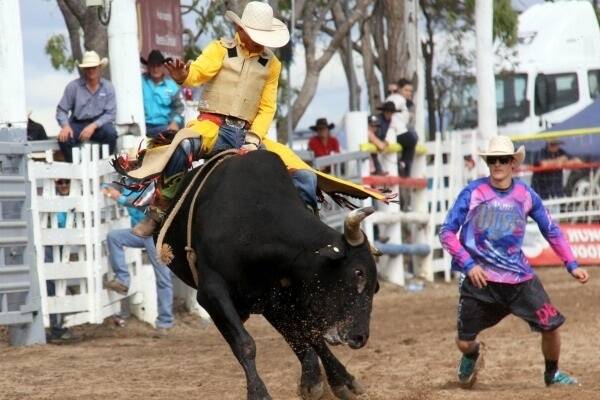 Michael Buckingham with his hands full of bull in this ride at the Mareeba Rodeo last Saturday.