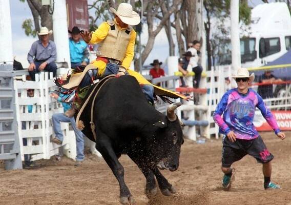 A crowd of 15,000 turned up at Mareeba for some of the best rodeo action seen for years.