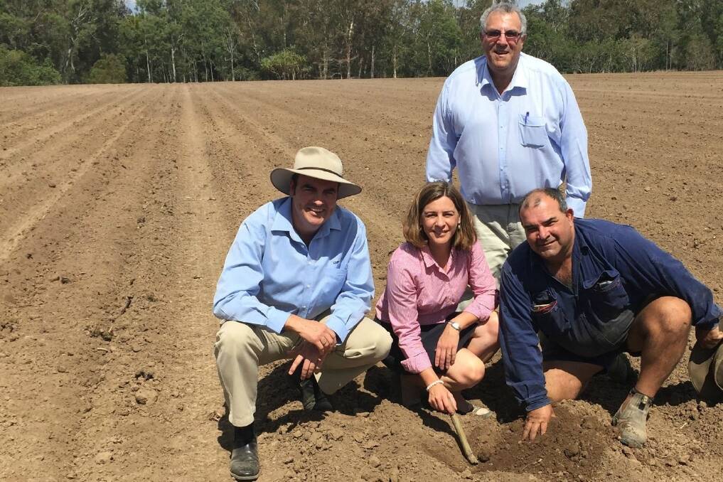 Member for Whitsunday Jason Costigan, Shadow Minister for Agriculture, Fisheries and Forestry Deb Frecklington, Canegrowers Chairman  Paul Schembri and local cane grower Greg Plath.