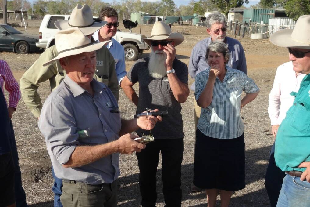 Mick Alexander, director of Grazing Best Practice (GBP) shows graziers how to use a refractometer to assess the sugar content of grass.at the Balfes Creek holistic management workshop.