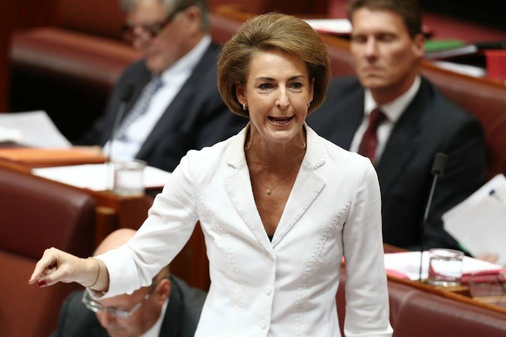 Proposed laws to criminalise visa rorts, introduced by Senator Michaelia Cash, are before parliament. Photo: Jay Cronan