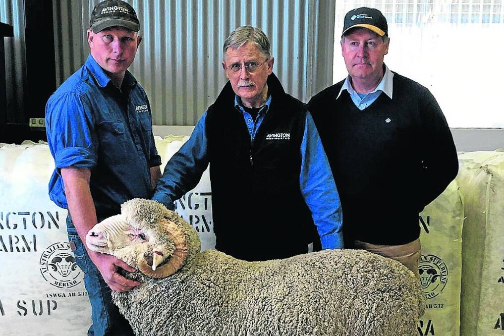 Avington farm manager Nathan Anderson and owner Noel Henderson with Ron Creek, AWN, who asissted his clients in purchasing the top priced ram for $2600.