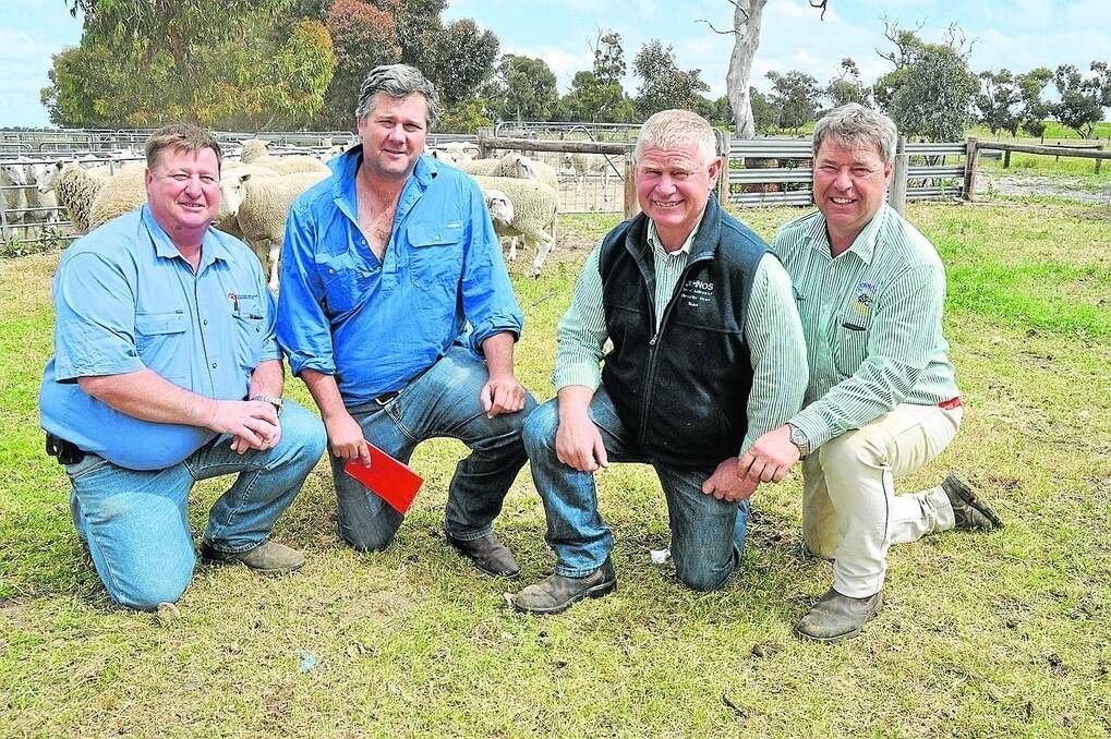 Southern Australian Livestock’s Upper SE representative Darryl Napper and client Simon Pocock, Lameroo, who bought 15 Border Leicester rams at a $1293 average, including the $2100 equal-top price ram. They are with Johnos stud co-principals Neil and Jeff Johnson.