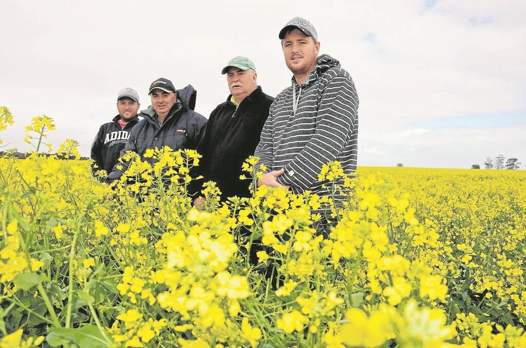EYRE Peninsula farmer Brian Turnbull (pictured second from left, with his nephew Corey, brother Peter and nephew Luke) was one of the farmers who took part in the recent DuPont Pioneer canola technology showcase at Wagga Wagga, NSW.