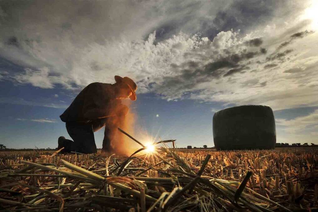 Farmers brace for El Nino
