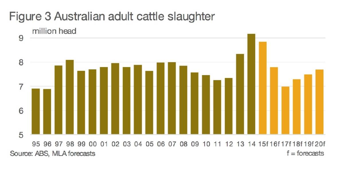 Record cattle turn-off continues