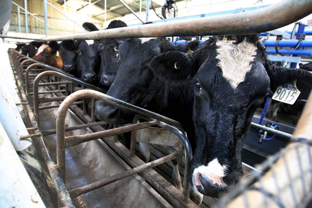 Arrest over NZ milk formula threat
