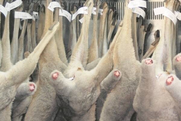 Boost for roo exporters