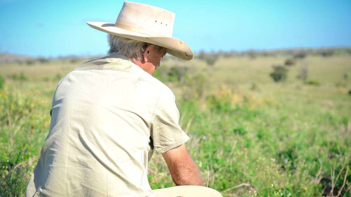 DIRE DIEBACK: John Howard, Mountain View, Biloela, inspecting some of his country which has fallen victim to pasture dieback. He is one of many producers in the region struggling to control the disastrous phenomenon. 