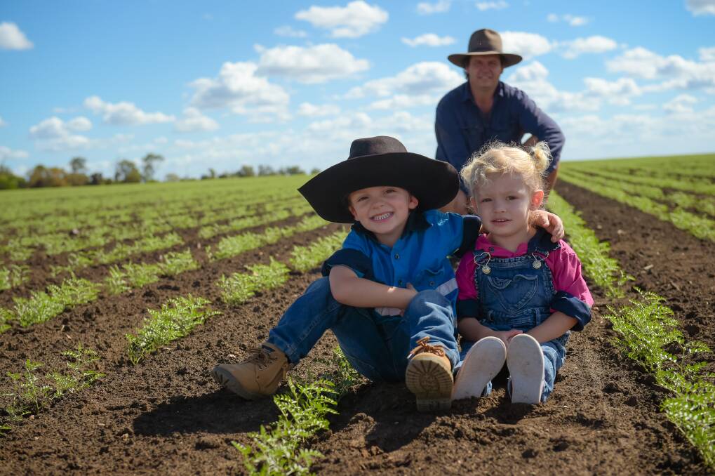 Denlo Park operations manager Matt Anning with kids Milton, 4, and Monique, 2, in this year's chickpea crop at Springsure. The family have planted 2000 hectares of Kyabra and Seamer chickpeas. 