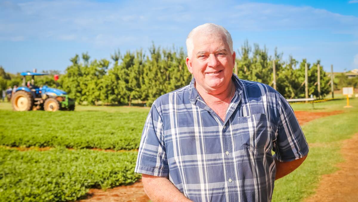 BIG CHANGE: Norm Anderson, Childers, is moving into macadamias from cane farming due to the rising cost of electricity. 