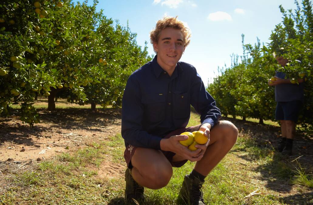 Lleyton Cave, 15, Emerald, is excited to have begun his Certificate III in Production Horticulture. 