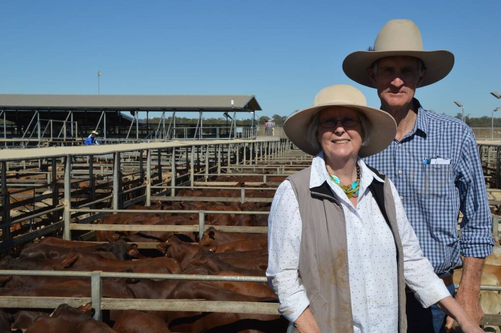 Happy days: Fay and Alec Nugent, Toliness, Tambo, sold a line of heavy feed-on Santa steers at today's Roma store sale.