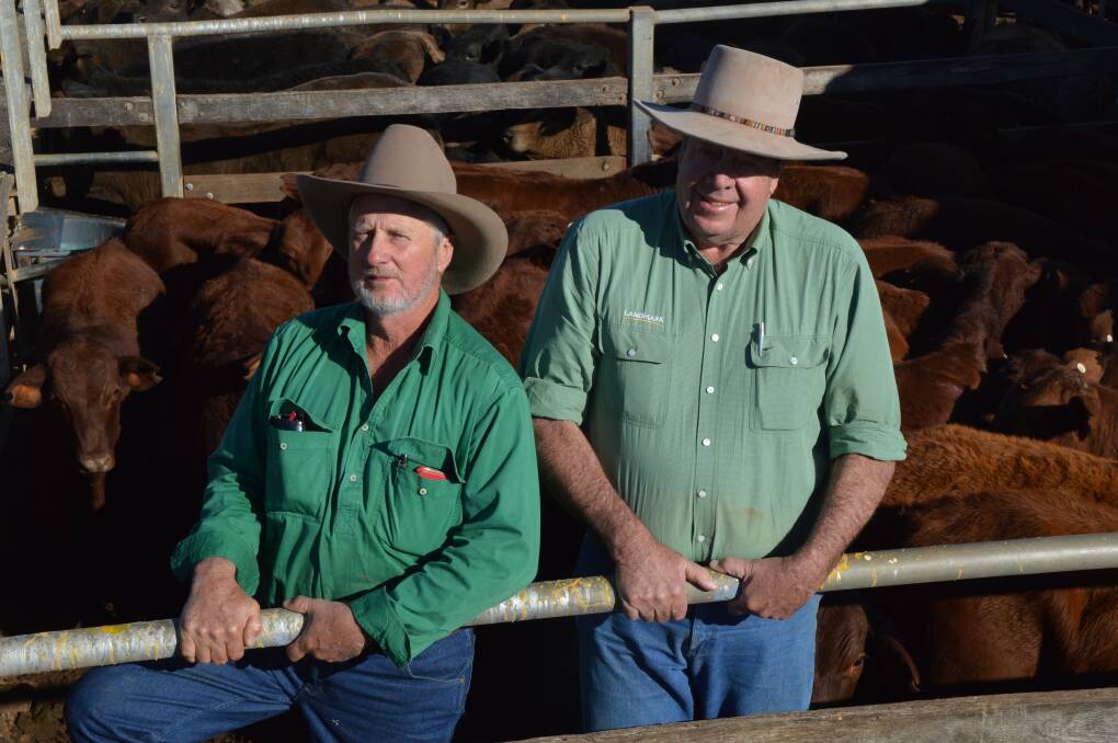 Positive result: Rowan Davidson, Hillandale, Wandoan, and Rod Turner, Landmark, Roma, said current cattle prices made selling weaners a worthwhile option.