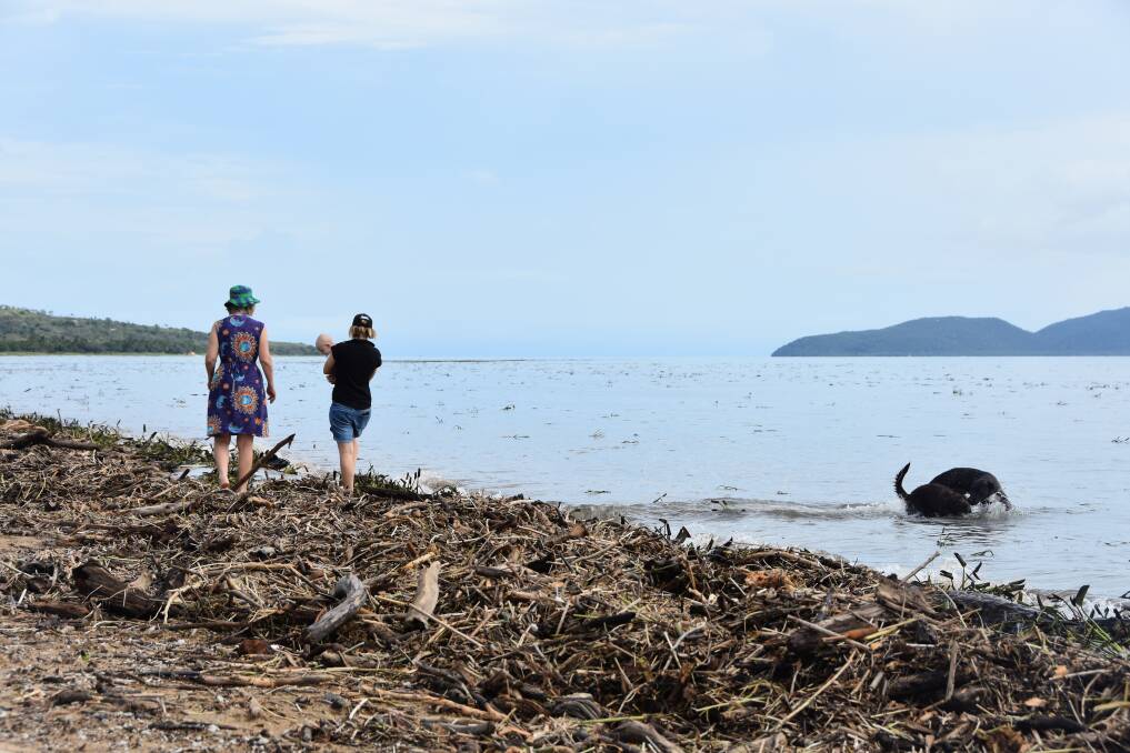 Creeks and rivers got a good clean up around Townsville, with debris washing up at the beach at Rowes Bay this morning during high tide. Picture: Jessica Johnston