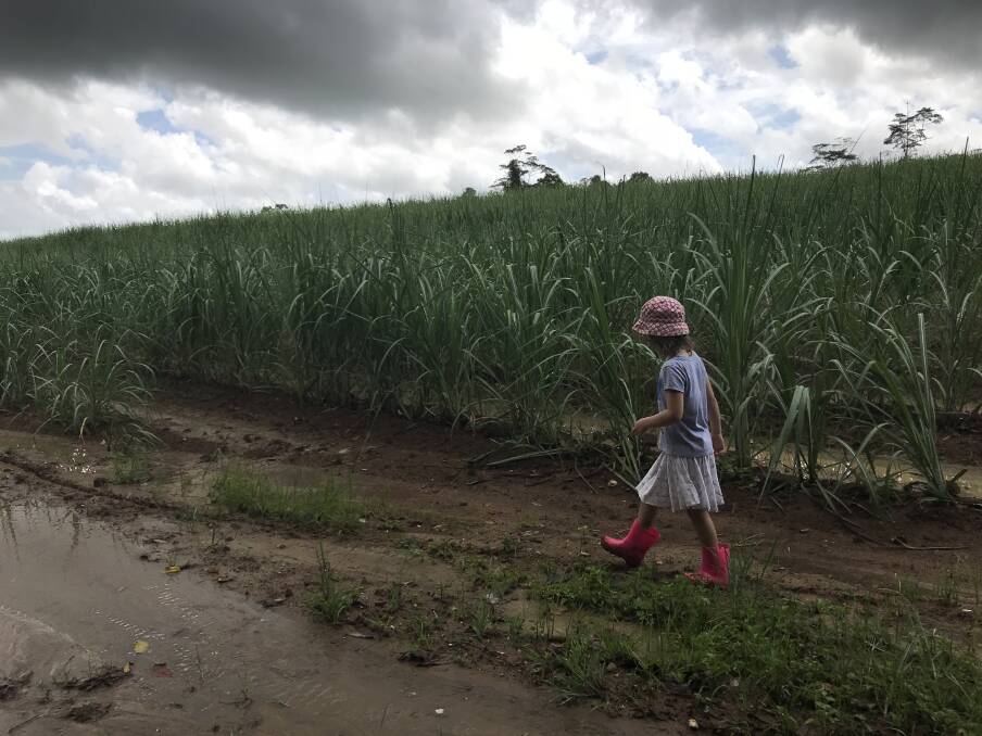 Asha Rule pulled on her gumboots to play in the mud following a downpour on a cane farm near Babinda.