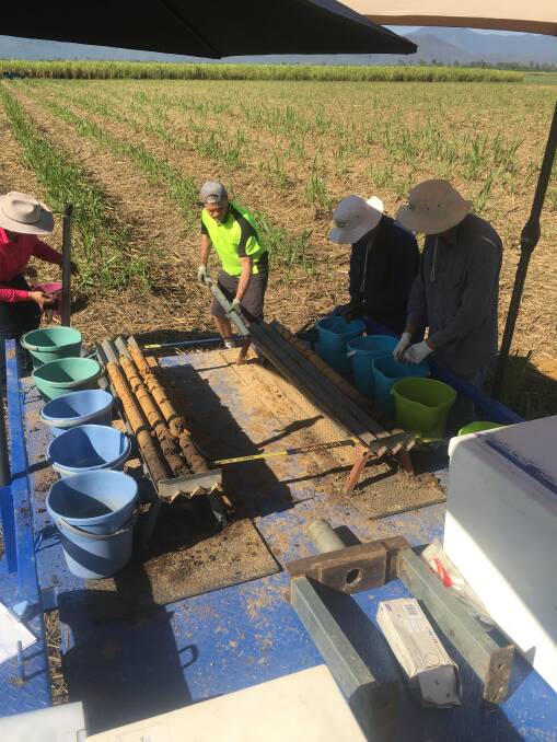 Soil testing for nitrogen levels in the Murray Upper area.