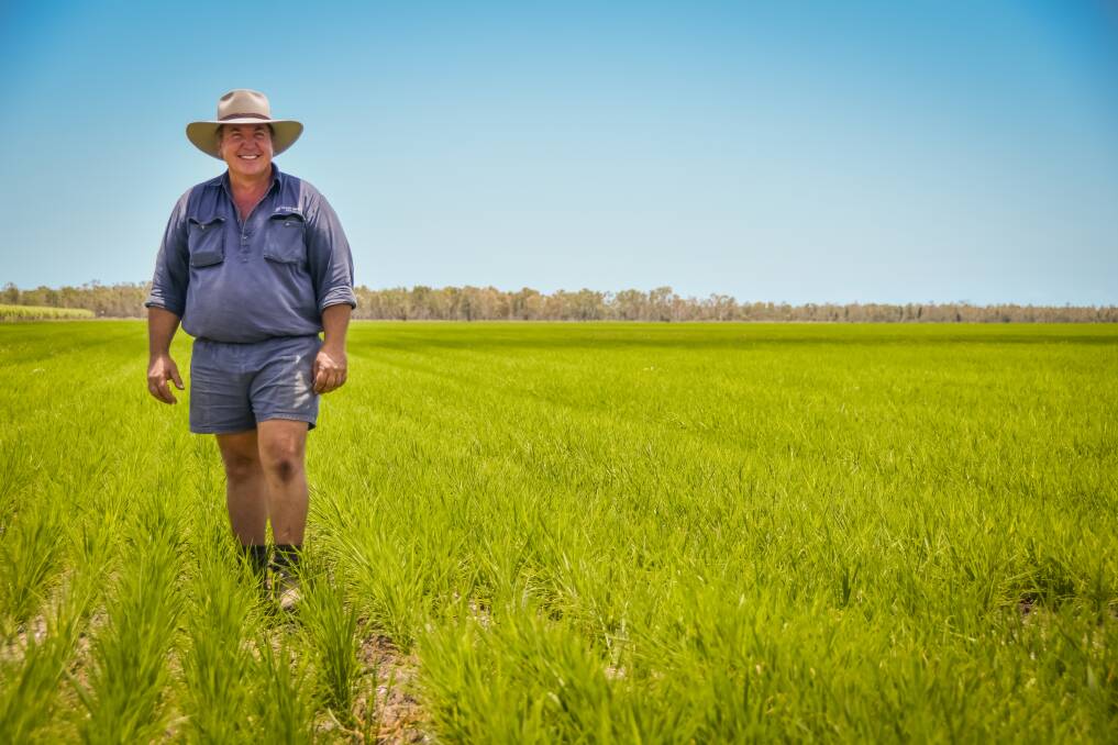 Giru rice grower Allan Milan is optimistic about the future.