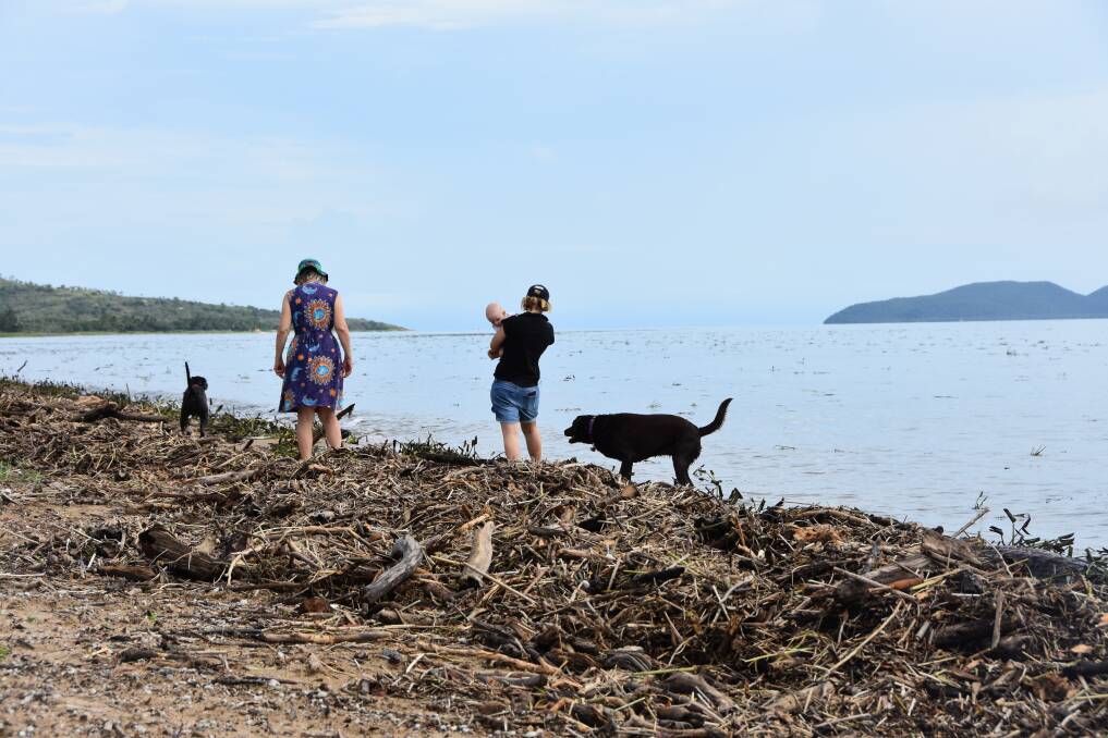 CLEAN-UP: Debris washes up on the foreshore at Rowes Bay, Townsville, after heavy rain flushed out rivers.