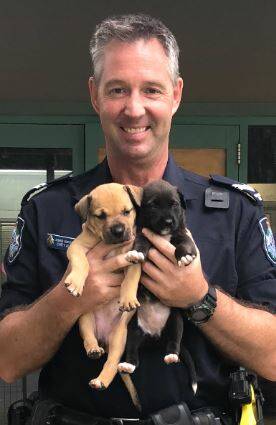 Sen Constable Allen with the rescued pups
