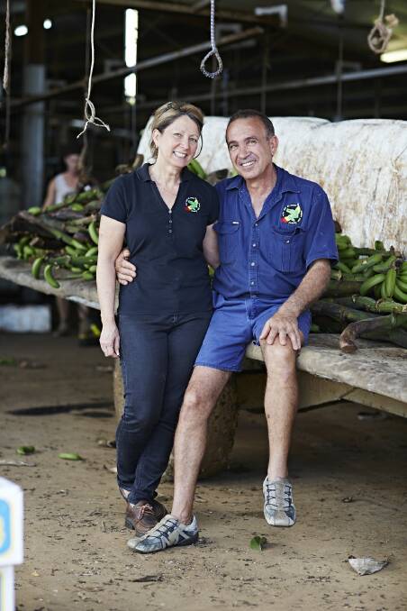 Banana farmers Dianne and Frank Sciacca, from Boogan near Innisfail, are among the few growers who currently export.