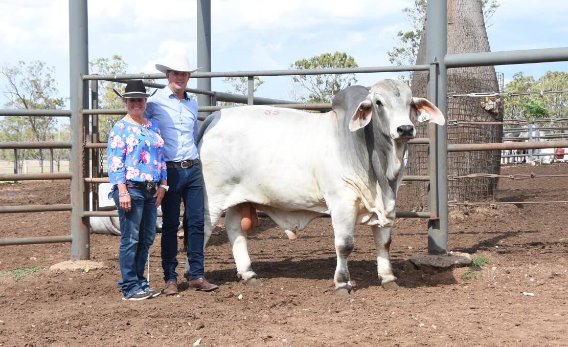 Brooke Jefferis, Elrose Brahmans, and Brett Nobbs, NCC Brahmans with the second-top priced NCC Delray (P), knocked down for $110,000. 