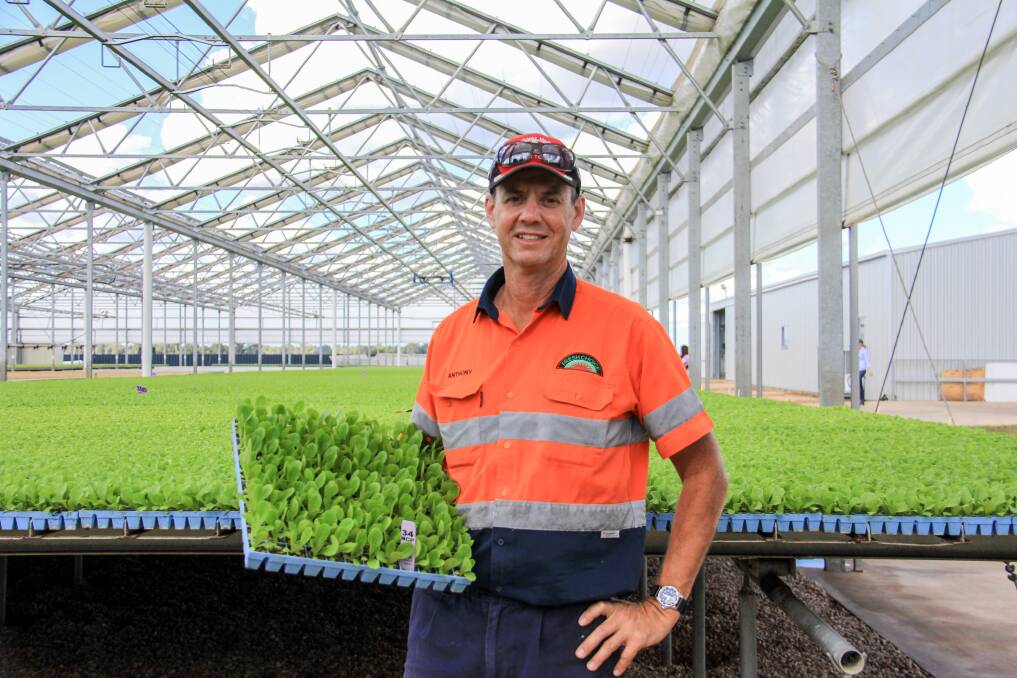 FOOD HERO: Anthony Staatz explaining the sophisticated production system used on Koala Farms to supply Coles supermarkets with lettuce and broccoli.