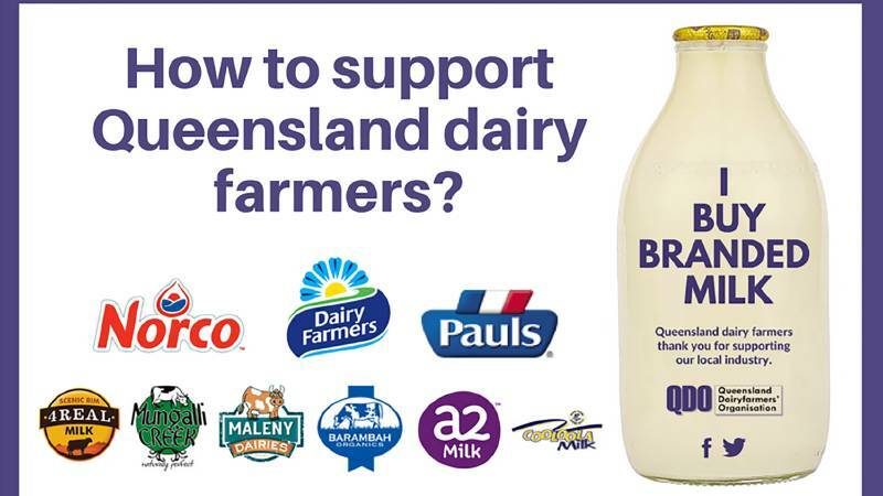 World Milk Day: Qld farmers thank branded milk consumers