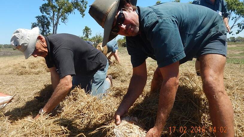 Horticulturalist Bruce Hill and cane grower Willy Lucas collect microbes for the fertiliser brew.