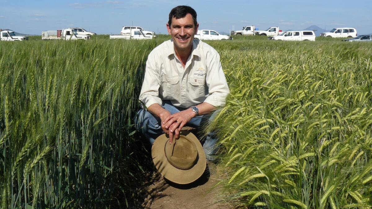 NITROGEN MANAGEMENT: Chief executive officer of the GRDC-funded grower group Northern Grower Alliance Richard Daniel.