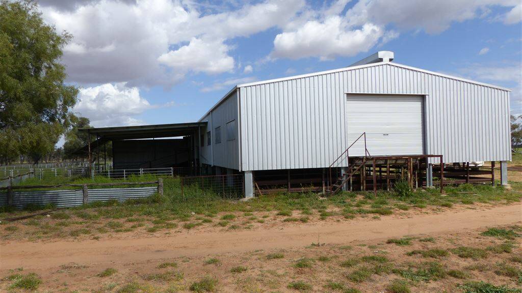 Glencoe has a steel framed shearing shed and yards.