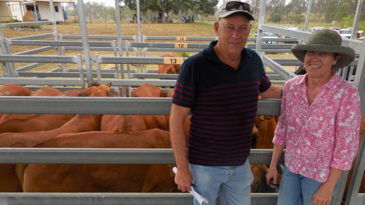 STRONG MARKET: Peter and Alyson Moore, Barney View, sold two year old Droughtmaster steers for $1450 at the Beaudesert store sale.