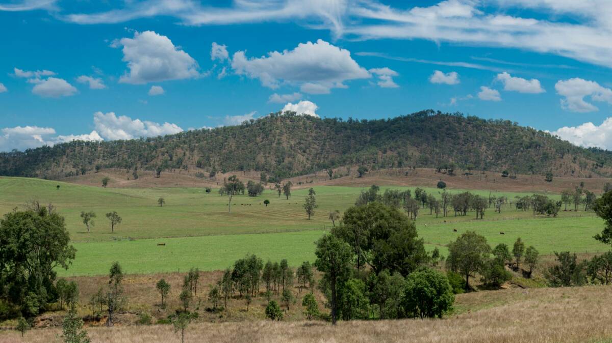DECEMBER 8 AUCTION: Colinton property Kokopelli covers 1386 hectares including a 102ha forestry lease.