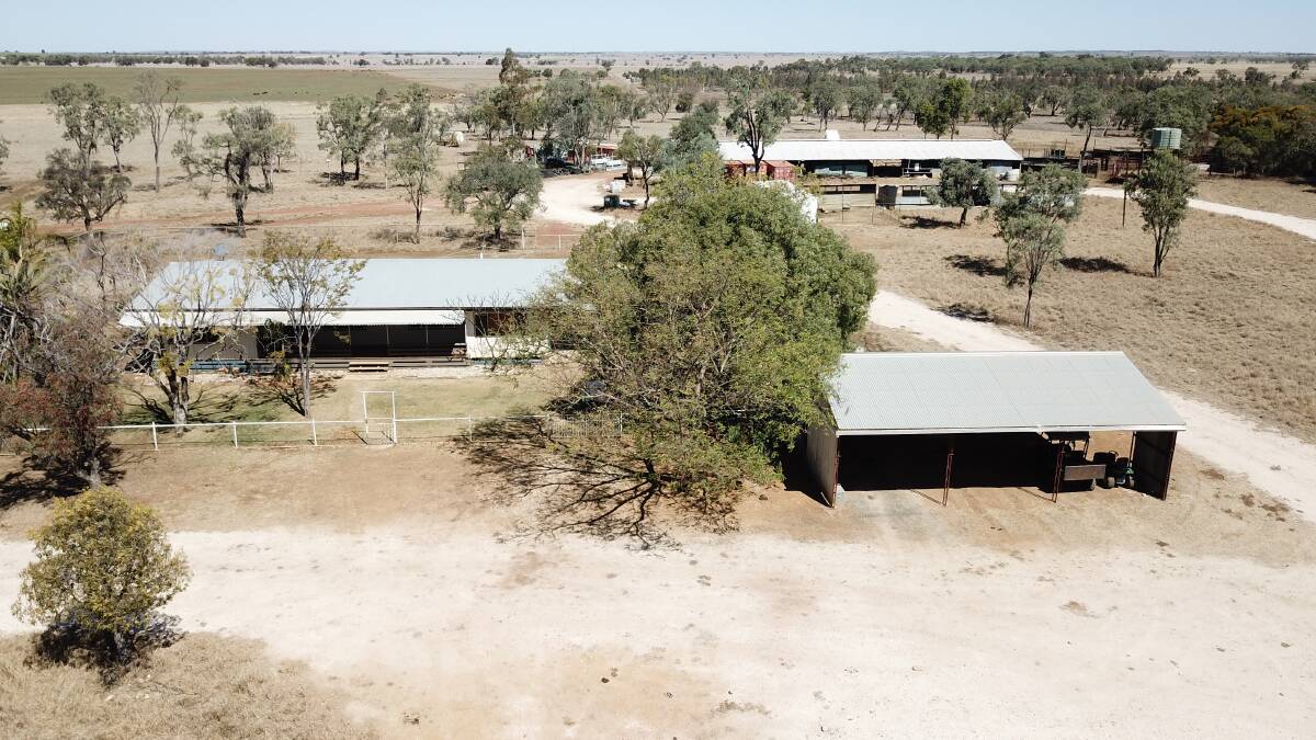 AUCTION: Carinya is 382 hectares of semi open undulating downs country. 