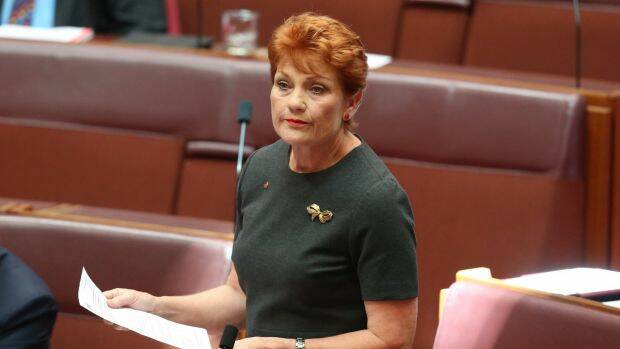 ON THE RISE: The Pauline Hanson-led party One Nation is shaping up to be instrumental in deciding the outcome of the election in Queensland. Photo - Andrew Meares