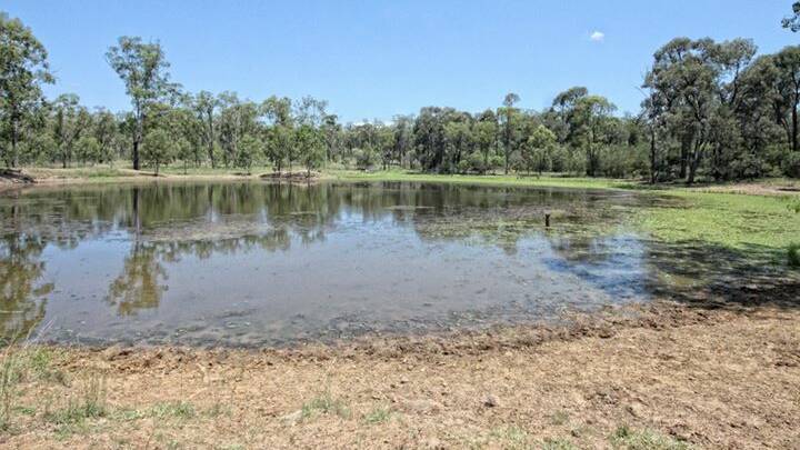 The Eidsvold property Lochaber covers 5283 hectares and is estimated to carry 650 breeders.