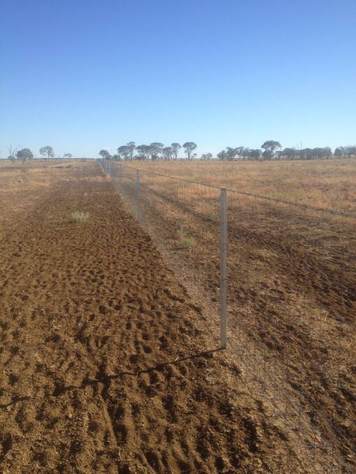 Exclusion fences are enhancing productivity in Western Queensland.