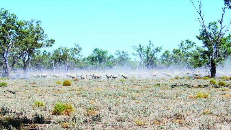 ON THE MARKET: Cunnamulla property Noorama Station, has been listed for sale.