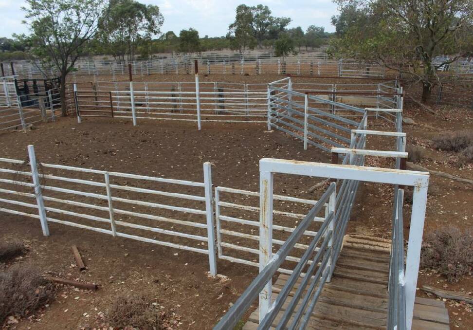 The 27,956 hectare Charleville property Wiringa is on the market, listed with Elders for $5.3 million including 1500 breeders.