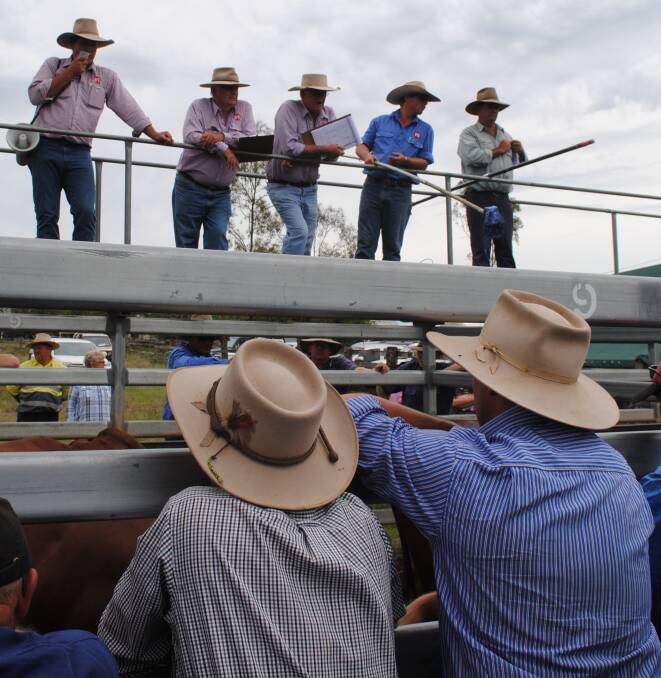 FIRED UP: The ongoing strength of the cattle market is key driver for rural property, a sector which has seen a drop in the number of properties being put to the market.