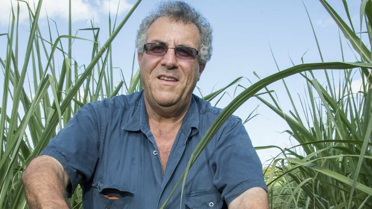 48 HOURS: CANEGROWERS chairman Paul Schembri is urging Wilmar Sugar and Queensland Sugar Limited to negotiate.