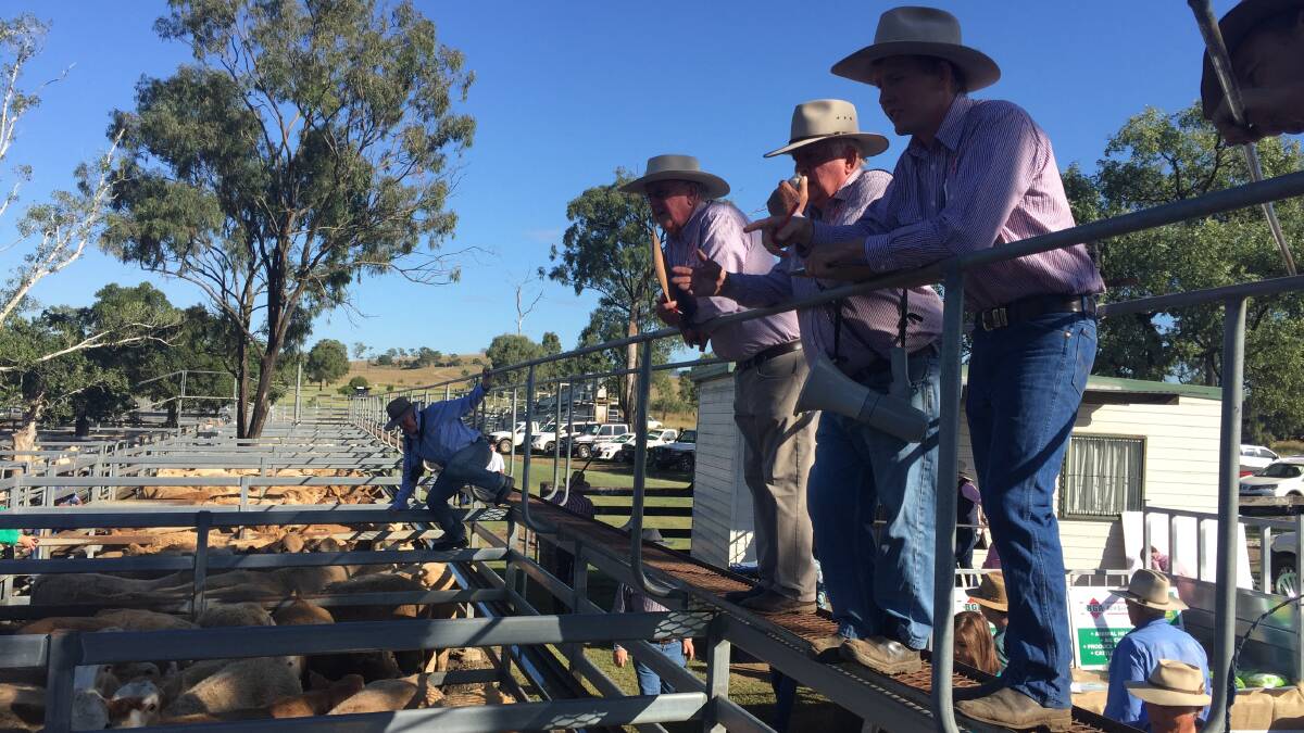 STORE MARKET: The 1160 cattle offered at Toogoolawah were in strong demand.