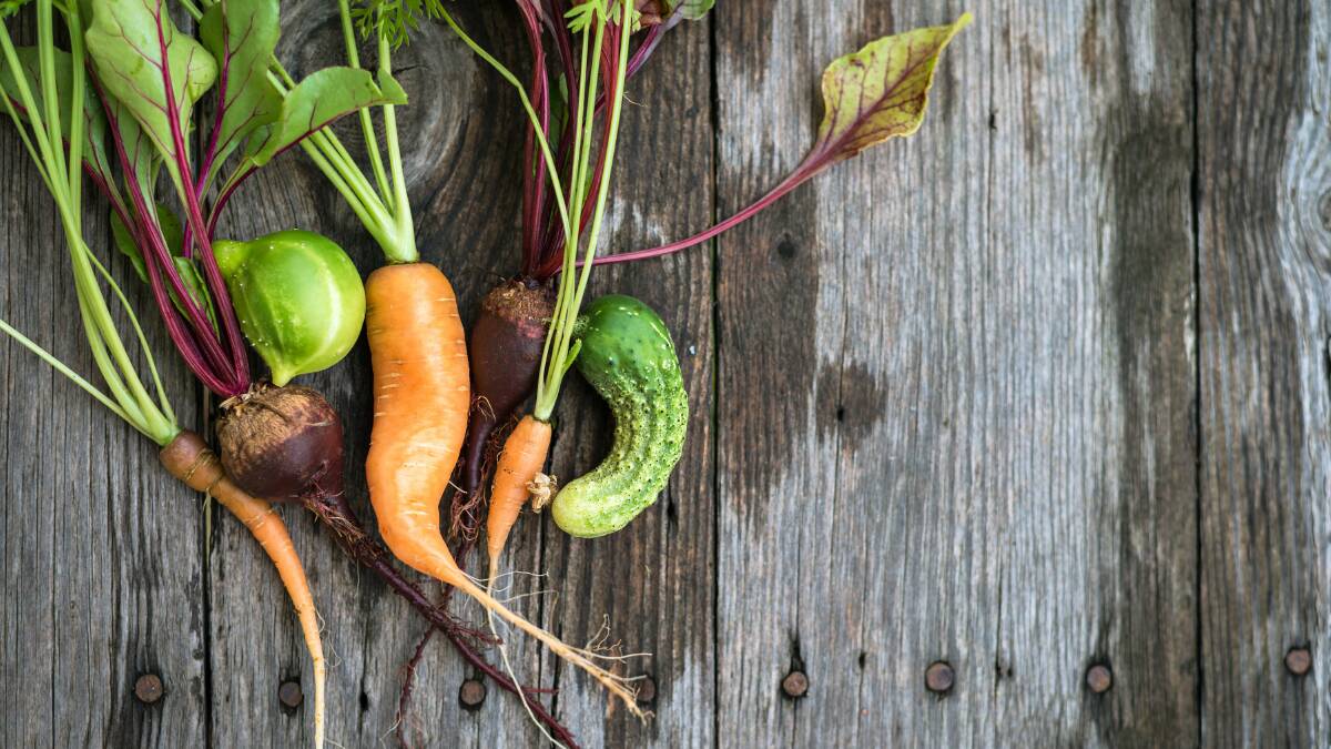 VALUE ADD: Ugly vegetables are being given a facelift as part of a project to turn imperfect-looking produce into nutrient-rich snacks and supplements.