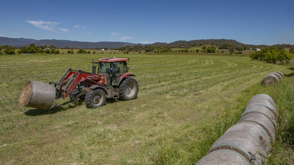 About 34ha of the 63ha of improved Rhodes grass pasture is suitable for hay production. 