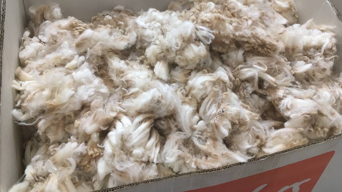 The wool market copped a reality check this week after the meteoric rise of the past two weeks. 