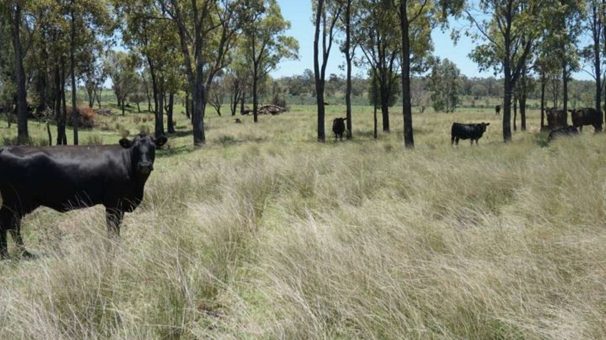 ON THE MARKET: The Brymaroo property Alisdare remains on the market after being put to auction by Ray White Rural. 